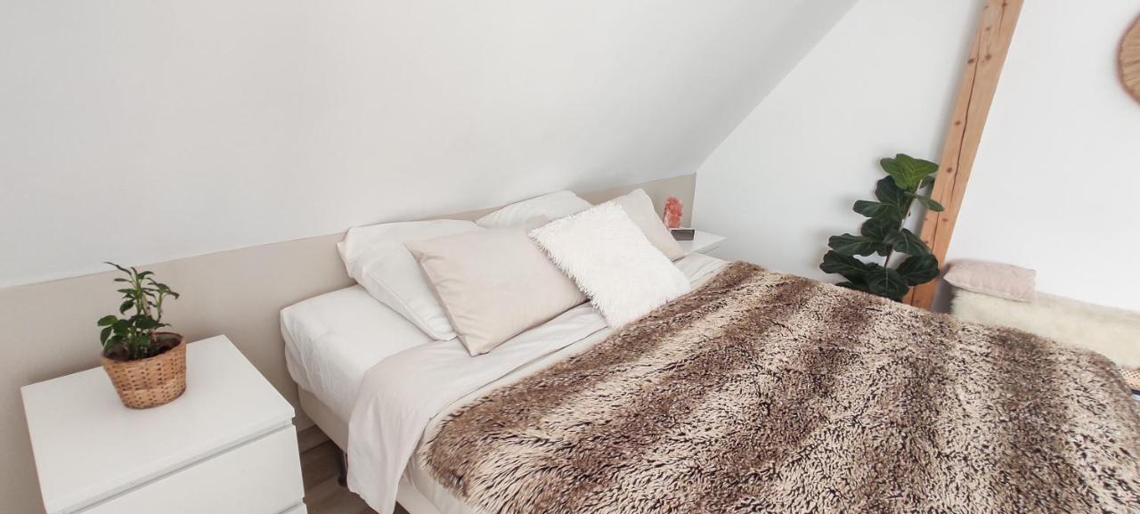 Cocoon Bed And Breakfast Fegersheim Dış mekan fotoğraf